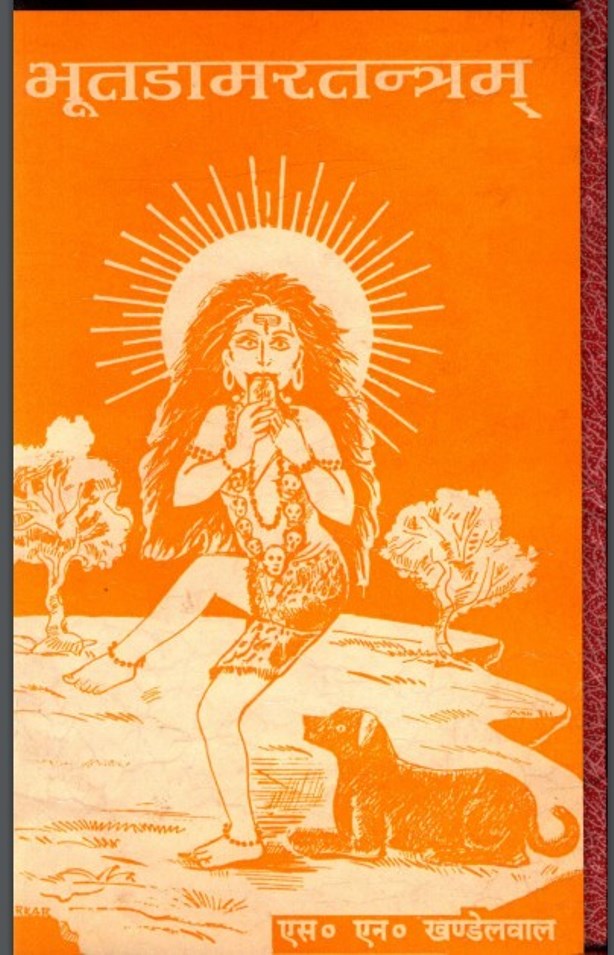 भूतडामरतन्त्रम : डॉ. ब्रह्मानन्द त्रिपाठी द्वारा हिंदी पीडीऍफ पुस्तक | Bhoot Damar Tantra : by Dr. Brahmanand Tripathi Hindi PDF Book