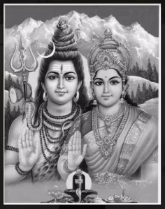 Rudrashtadhyayi PDF Hindi Book