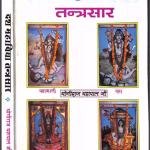 10 Mahavidya Book PDF in Hindi