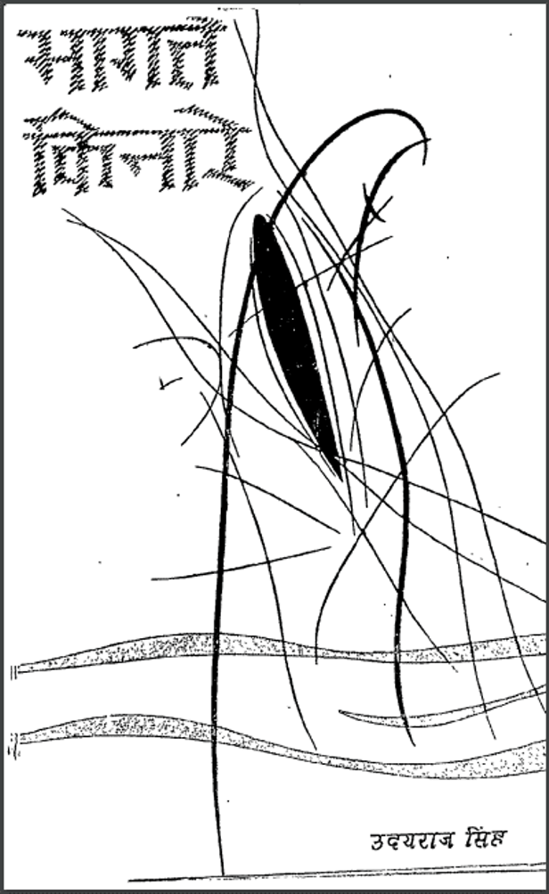 भागते किनारे : उदयराज सिंह द्वारा हिंदी पीडीऍफ़ पुस्तक - उपन्यास | Bhagate Kinare : by Uday Raj Singh Hindi PDF Book - Novel (Upanyas)