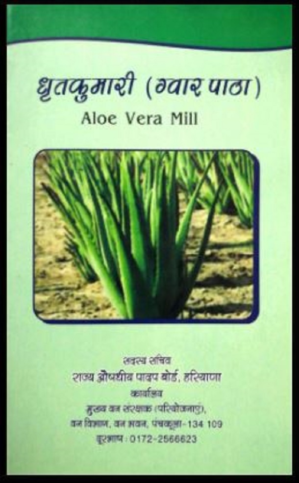 धृतकुमारी (ग्वार पाठा) : हिंदी पीडीऍफ़ पुस्तक - सामाजिक | Dhratkumari (Gvar Patha) : Hindi PDF Book - Social (Samajik)