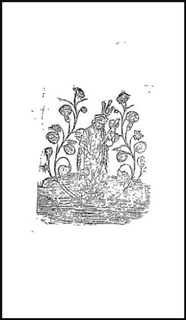 विद्यघिरी : गिरिजानन्दन तिवारी द्वारा हिंदी पीडीऍफ़ पुस्तक - उपन्यास | Vidhyaghiri : by Girijanandan Tiwari Hindi PDF Book - Novel (Upanyas)