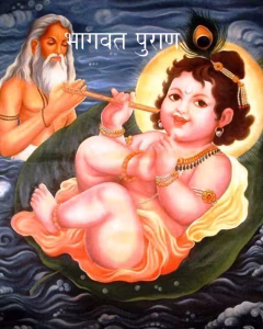 Bhagvat Puran PDF Book In Hindi