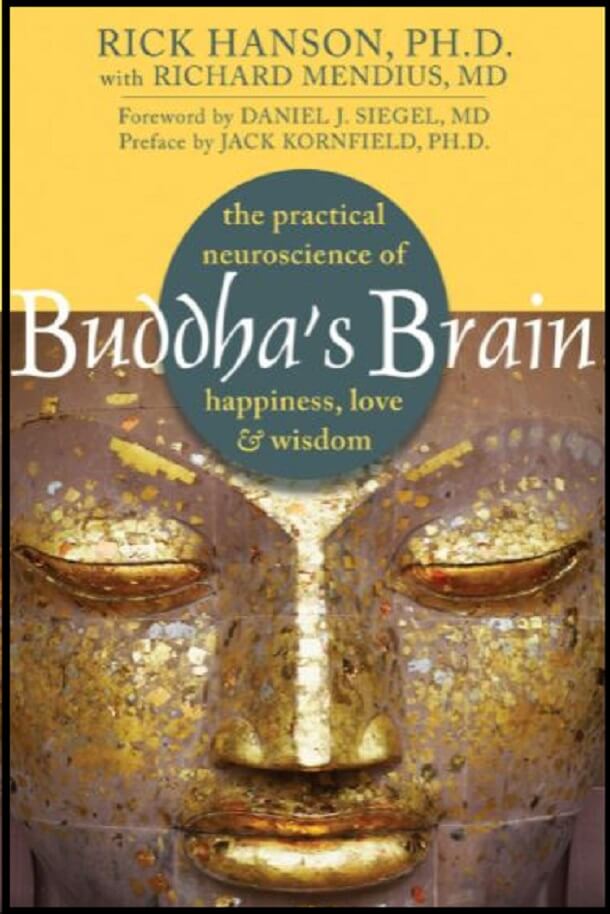 बुद्ध का मस्तिष्क : रिक हेनसन द्वारा हिंदी ऑडियो बुक | Buddha's Brain : by Rock Hanson Hindi Audiobook