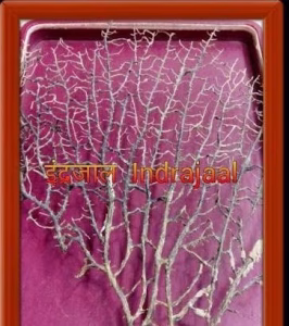 इंद्रजाल मंत्र सिद्धि PDF Book In Hindi