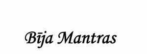 Bija Mantra List PDF Book