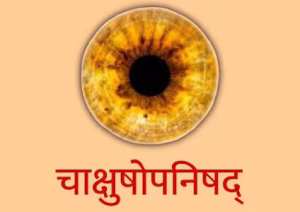 चाक्षुषोपनिषद स्तोत्र PDF Book in Hindi