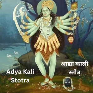 Adya Kali Stotra PDF Book In Hindi