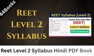 Reet Level 2 Syllabus PDF Book In Hindi