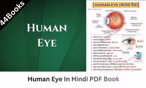 Human Eye In Hindi PDF Book