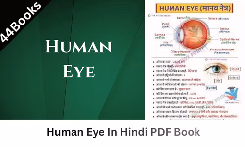 Human Eye In Hindi PDF Book