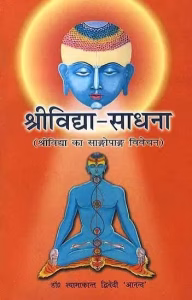 श्रीविद्या साधना Shrividya Sadhana PDF Hindi Book by Shri Shyamkant Dwivedi श्रीविद्या-साधना | Shrividya Sadhana PDF Hindi Book by Shri Shyamkant Dwivedi